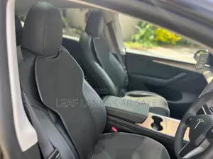Tesla Model Y 2023 Car (Used)