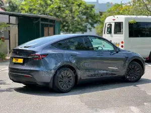 Tesla Model Y 2023 Car (Used)