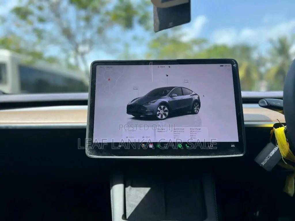 Tesla Model Y 2023 Car (Used)