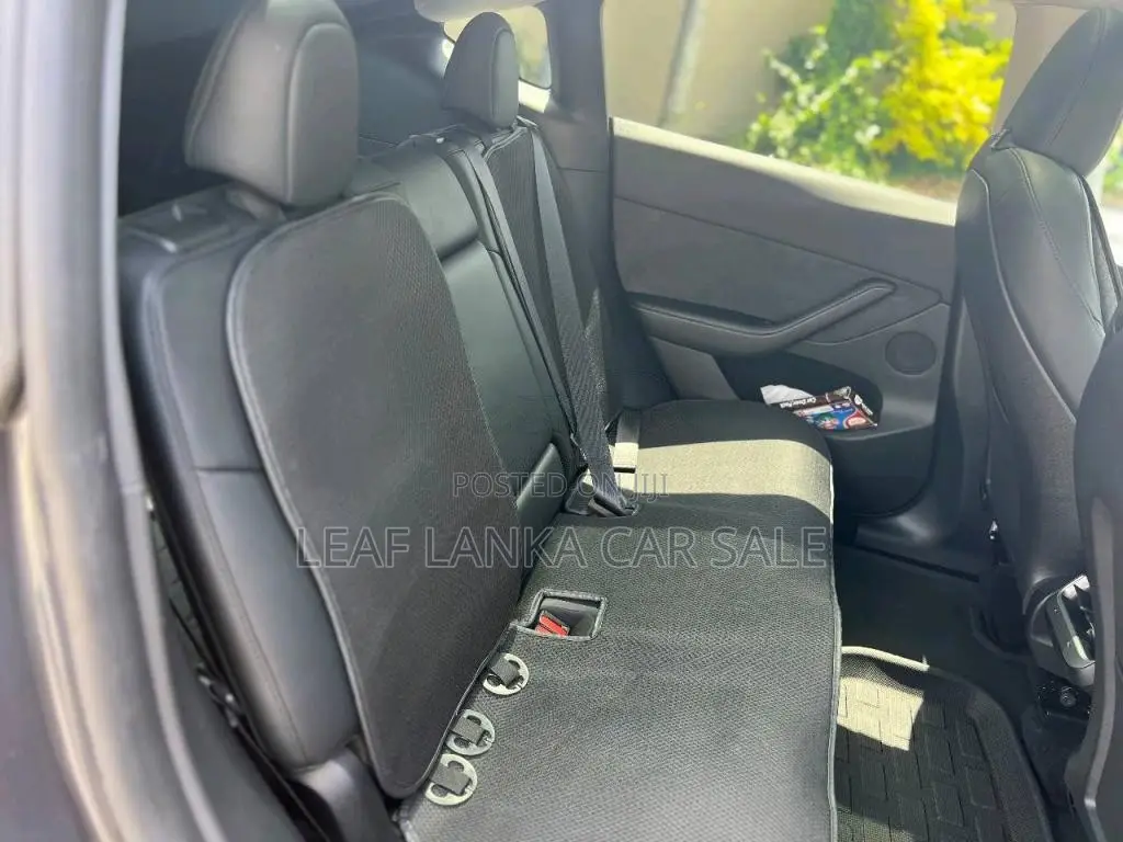 Tesla Model Y 2023 Car (Used)