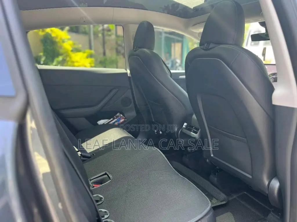 Tesla Model Y 2023 Car (Used)