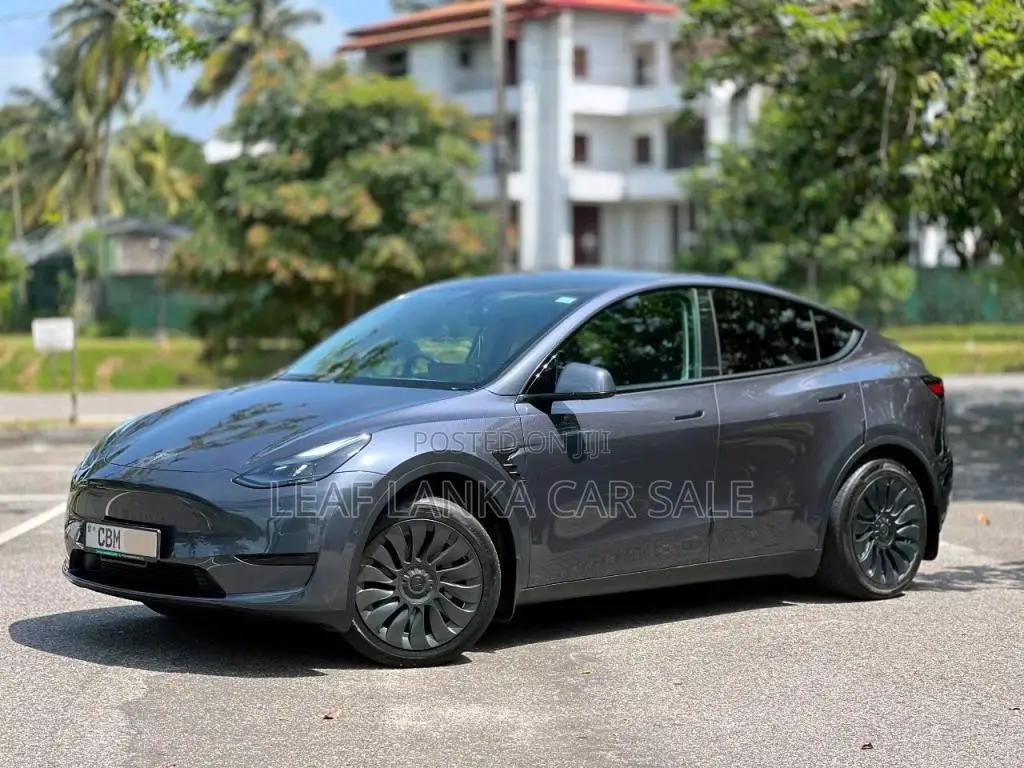 Tesla Model Y 2023 Car (Used)