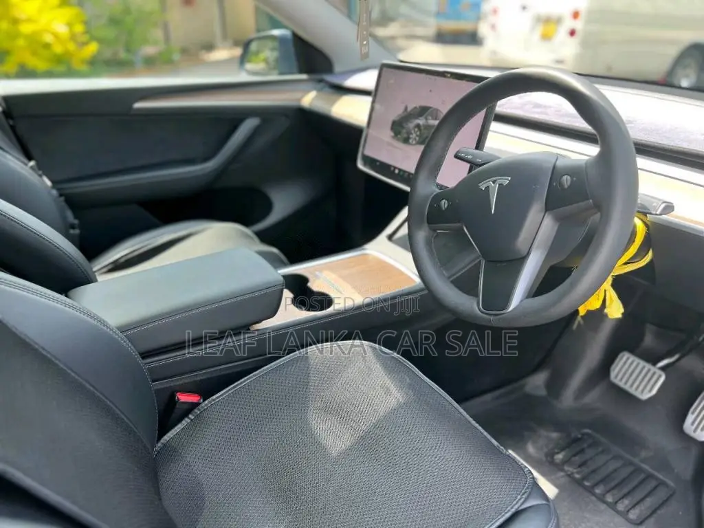 Tesla Model Y 2023 Car (Used)
