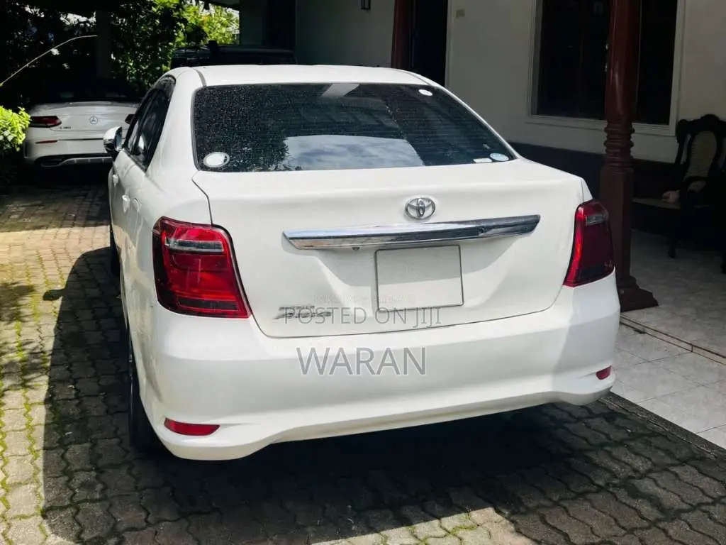 Toyota Axio 2019 Car (Used)