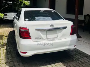 Toyota Axio 2019 Car (Used)