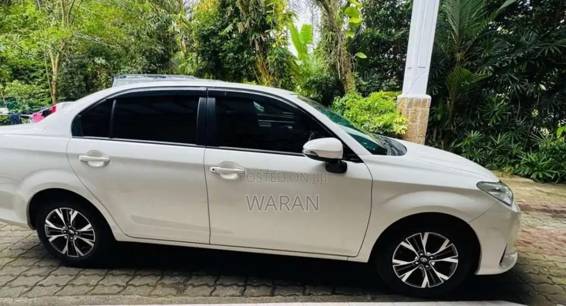 Toyota Axio 2019 Car (Used)