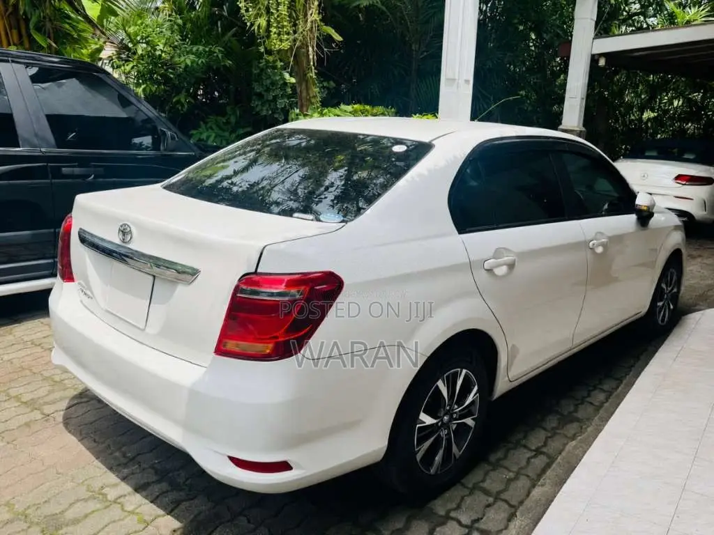 Toyota Axio 2019 Car (Used)