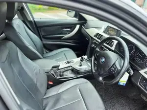 BMW 316i 2015 Car (Used)