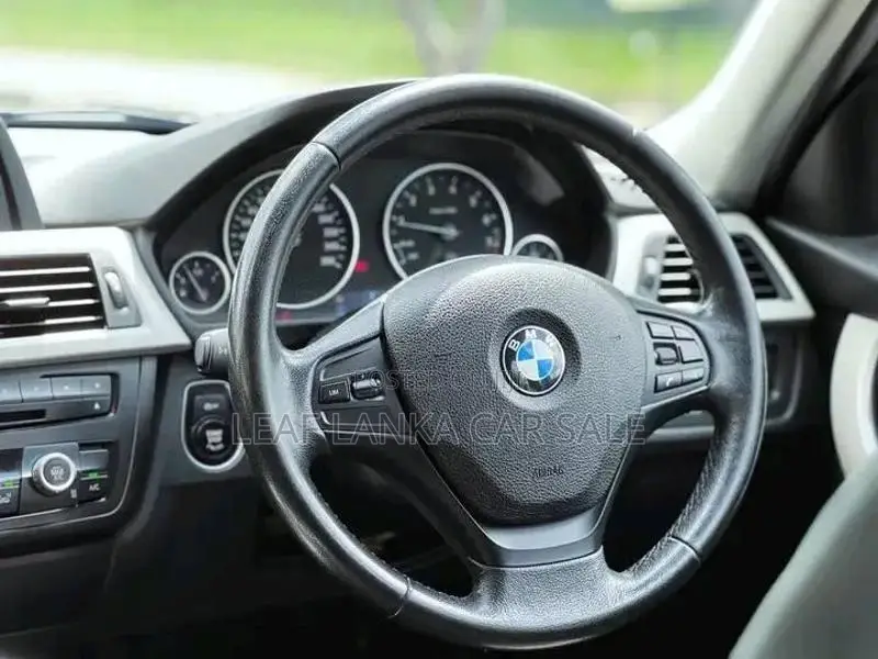 BMW 316i 2015 Car (Used)