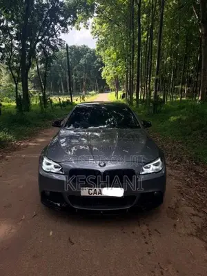 BMW 520D M Sport 2012 Car (Used)