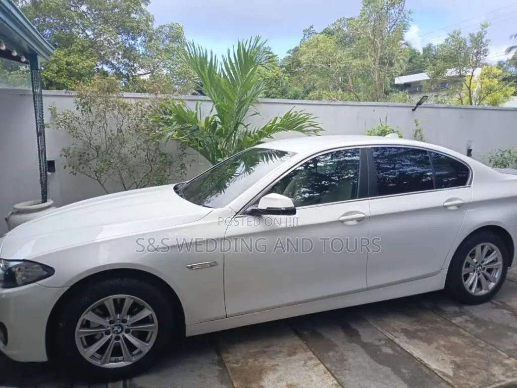 BMW 520D 5 Series 2013 Car (Used)