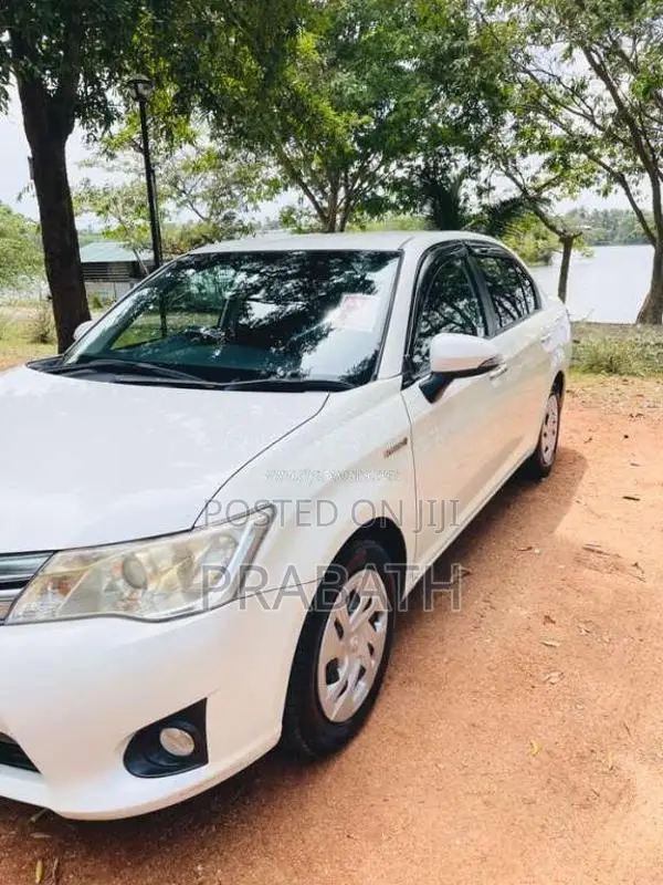 Toyota Axio 2015 Car (Used)