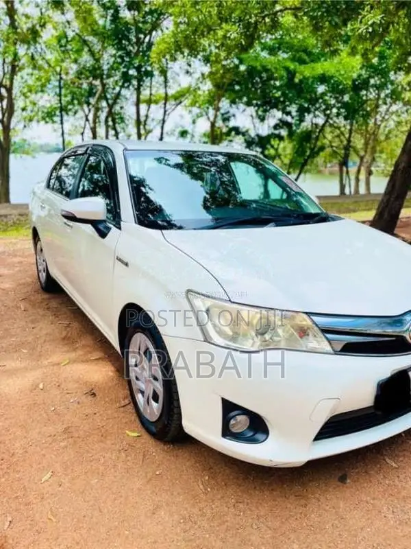 Toyota Axio 2015 Car (Used)