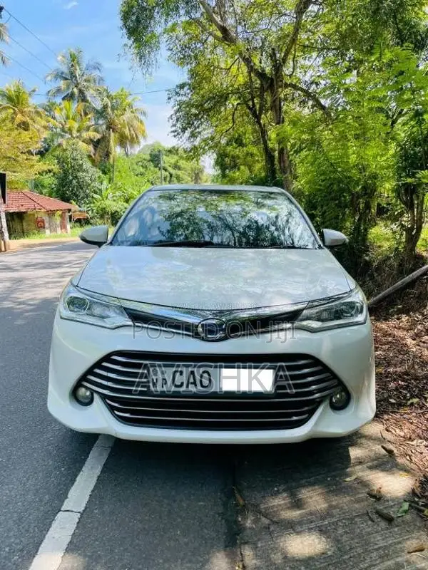 Toyota Axio G 2015 Car (Used)