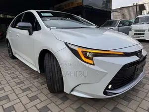 Toyota Corolla WxB 2023 Car (Used)