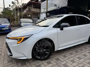 Toyota Corolla WxB 2023 Car (Used)