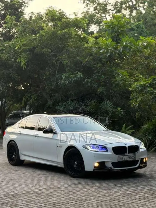 BMW 520D 2013 Car (Used)