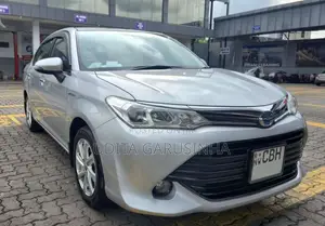 Toyota Axio 2018 Car (Used)