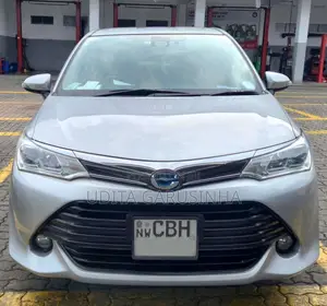 Toyota Axio 2018 Car (Used)
