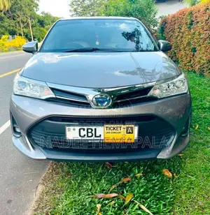 Toyota Axio 2018 Car (Used)