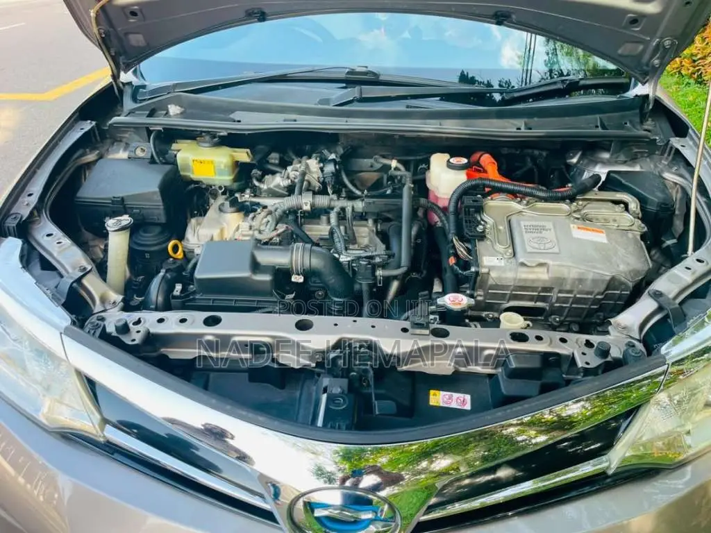 Toyota Axio 2018 Car (Used)