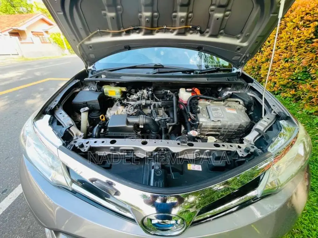 Toyota Axio 2018 Car (Used)
