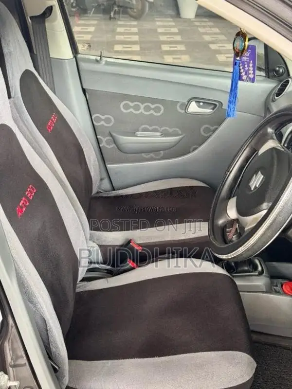 Suzuki Alto 2015 Car (Used)