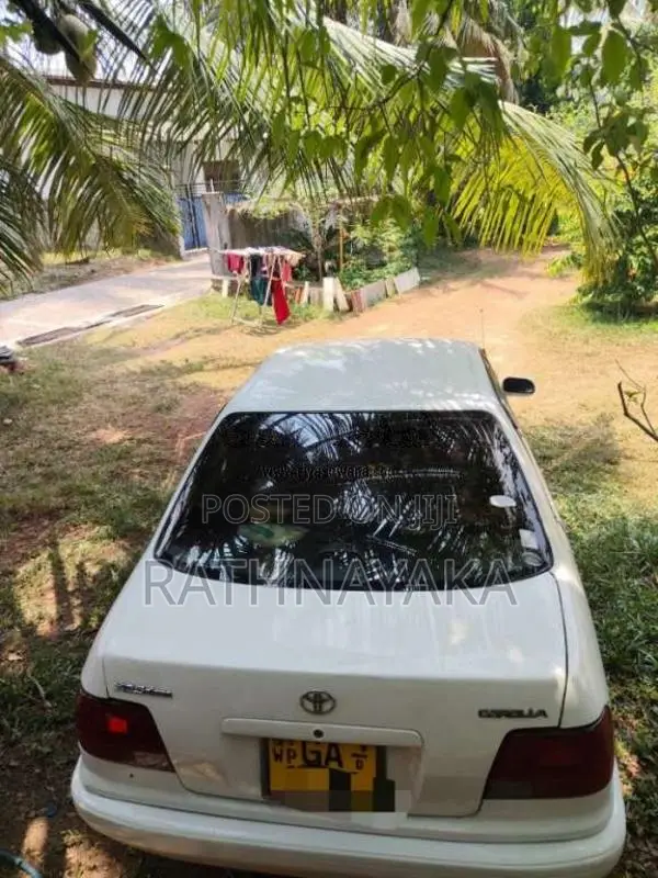 Toyota Corolla 1997 Car (Used)