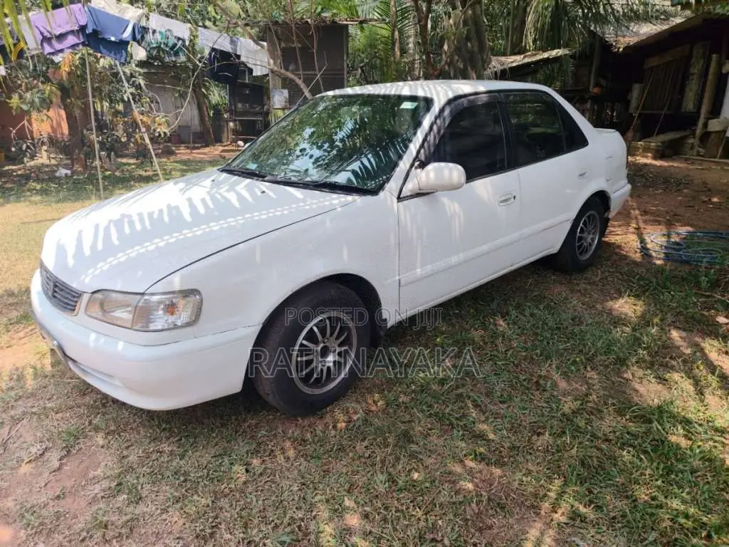 Toyota Corolla 1997 Car (Used)