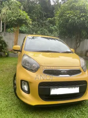 Kia Picanto 2016 Car (Used)