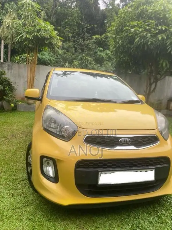 Kia Picanto 2016 Car (Used)
