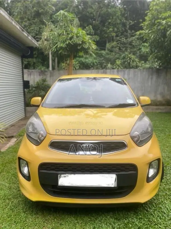 Kia Picanto 2016 Car (Used)