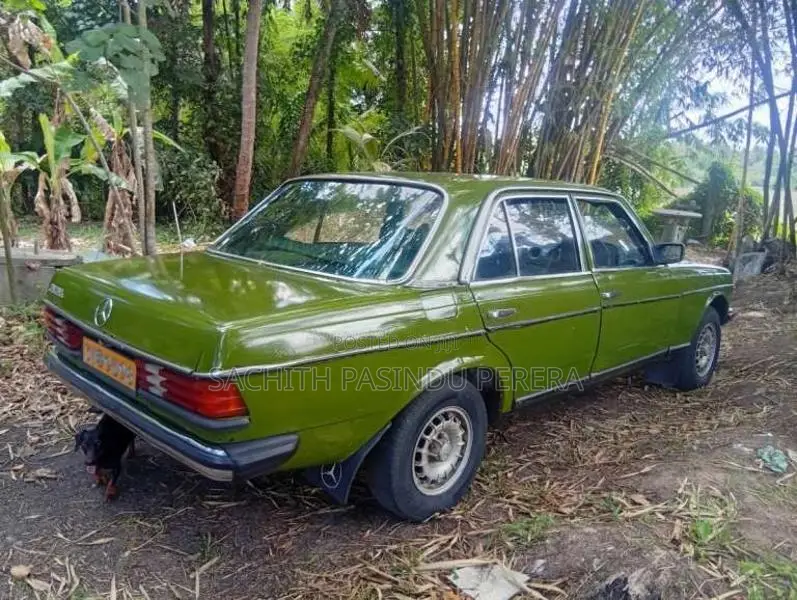 Mercedes-Benz W123 1977 Car (Used)
