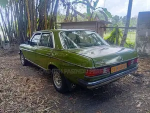 Mercedes-Benz W123 1977 Car (Used)