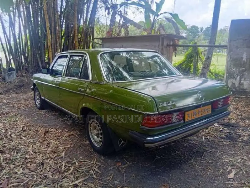 Mercedes-Benz W123 1977 Car (Used)