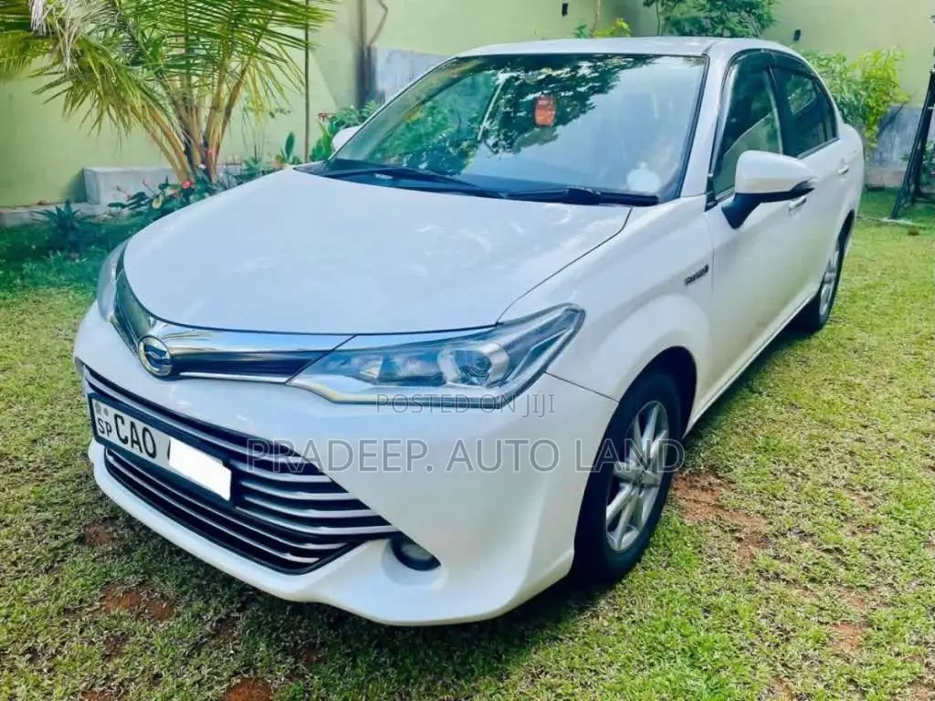 Toyota Axio 2015 Car (Used)