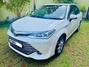 Toyota Axio 2015 Car (Used)