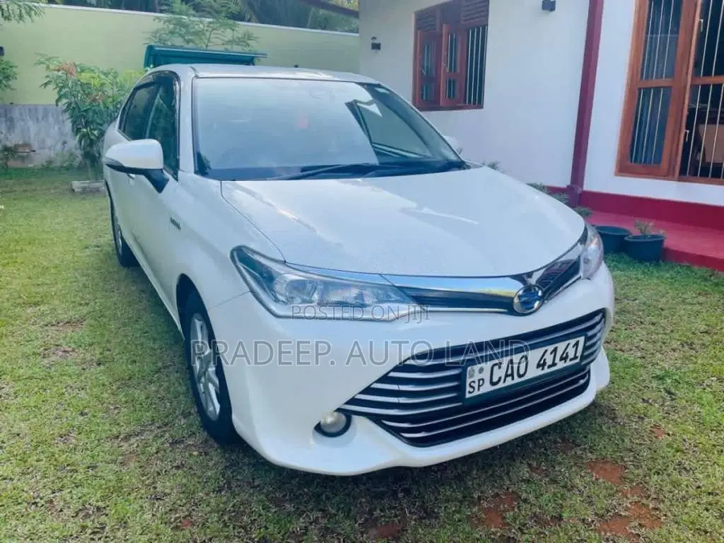 Toyota Axio 2015 Car (Used)