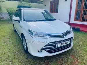 Toyota Axio 2015 Car (Used)