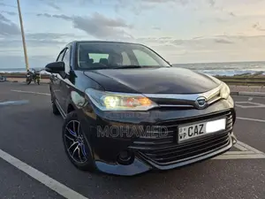 Toyota Axio 2016 Car (Used)