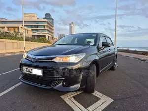 Toyota Axio 2016 Car (Used)