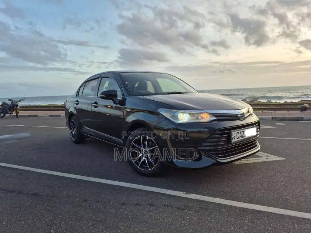 Toyota Axio 2016 Car (Used)