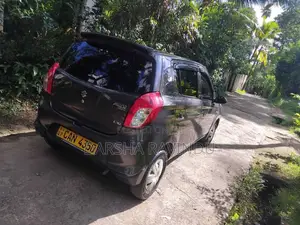 Suzuki Alto 2015 Car (Used)