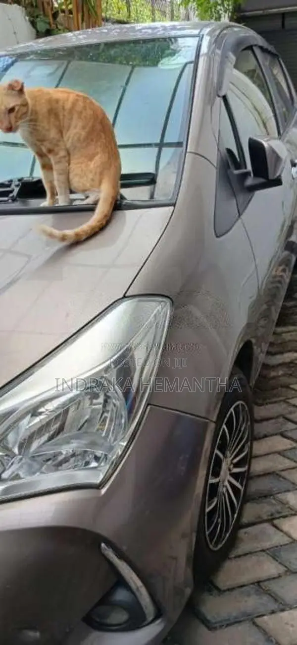 Toyota Vitz 2018 Car (Used)