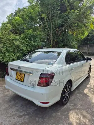 Toyota Axio WXB 2018 Car (Used)