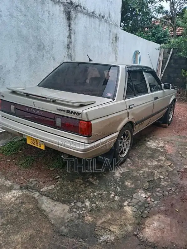 Nissan Trad Sunny 1989 Car (Used)