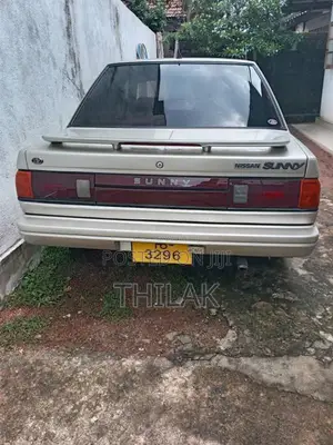 Nissan Trad Sunny 1989 Car (Used)