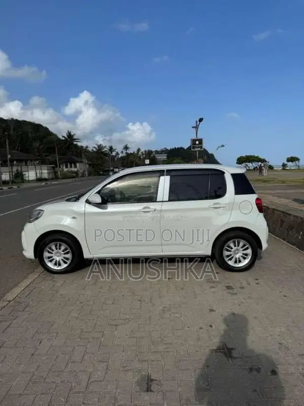 Toyota Passo XL 2016 Car (Used)