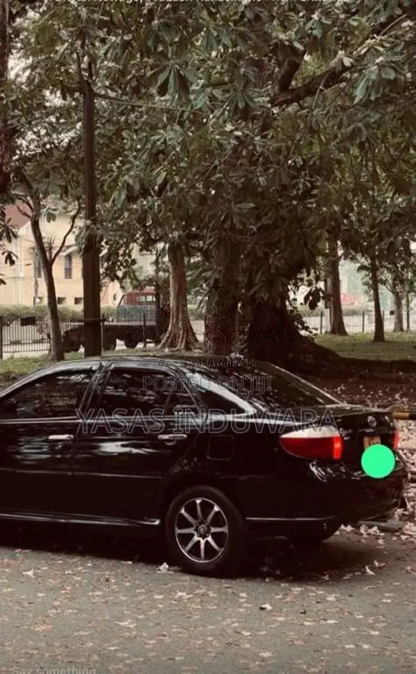 Toyota Vios 2004 Car (Used)