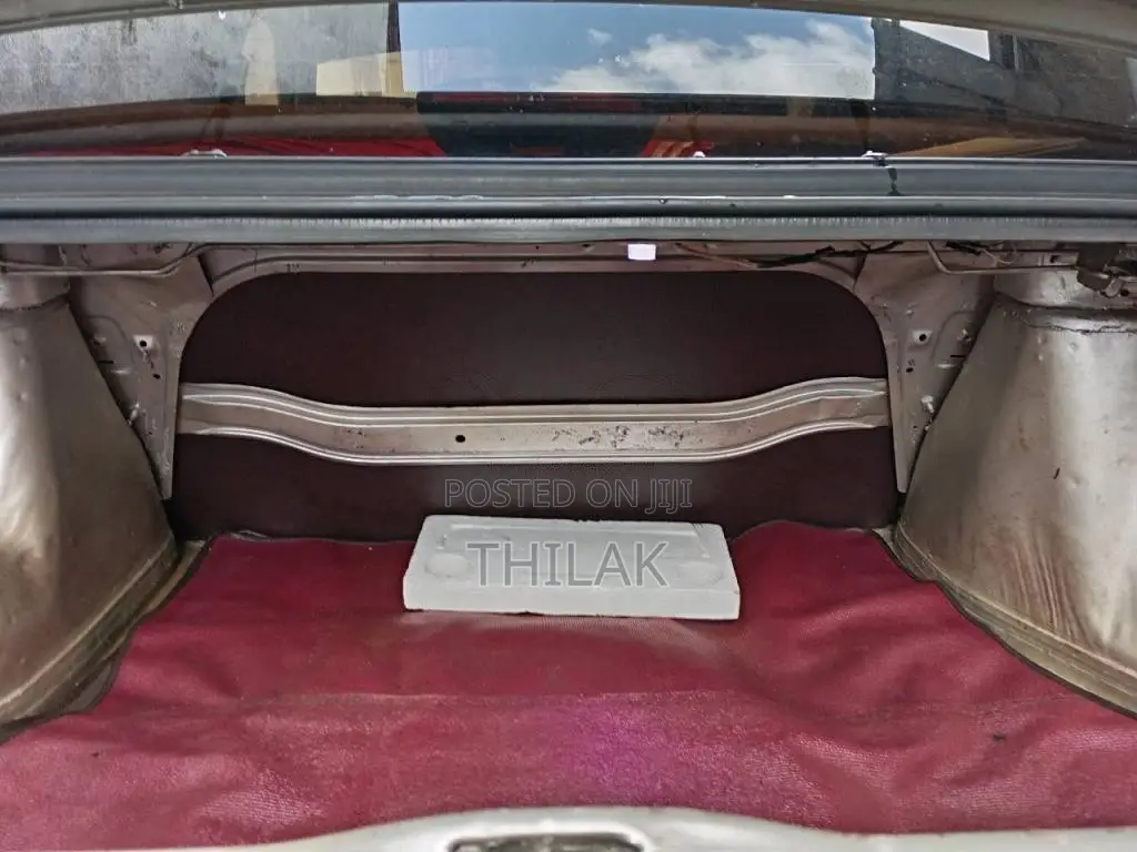 Nissan Trad Sunny 1989 Car (Used)